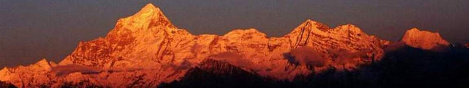 Himalayan Turmeric- Haldi