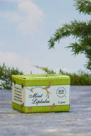 Natural Mint Lipbalm